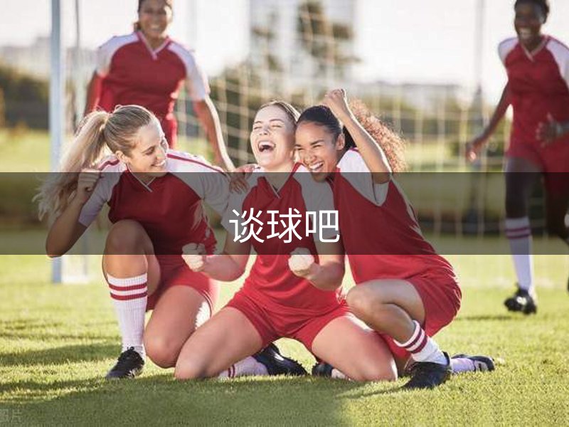 网站概况
